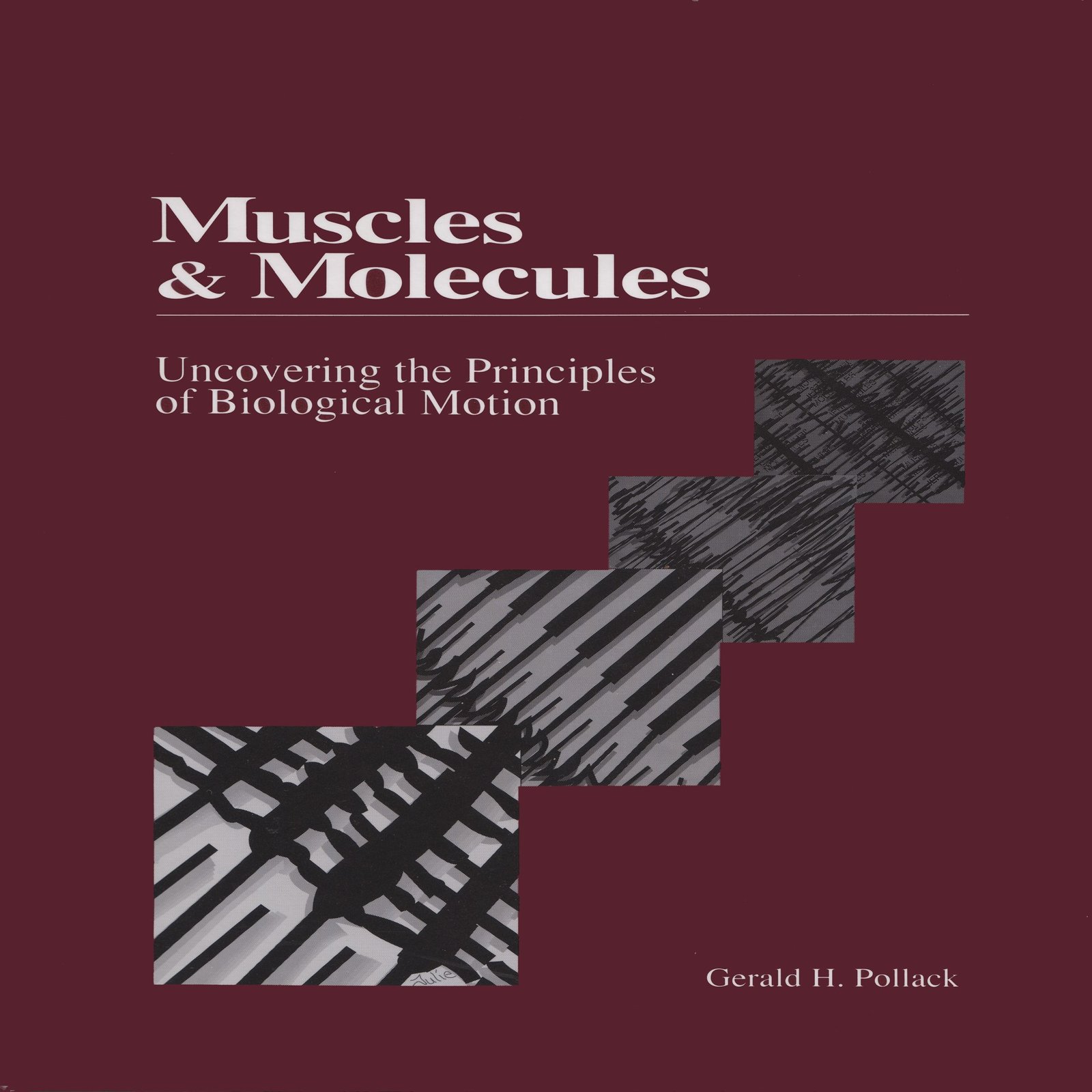 Muscles and Molecules Book Cover